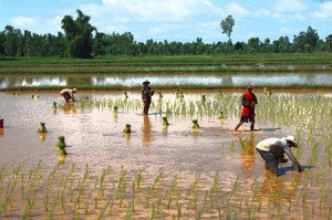 thailand, film, filming, shooting, locations, isaan