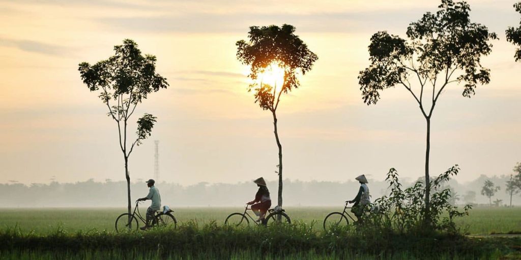 Film-Fixer-Indonesia-Wind-Up-Title-Image-Bicycles-Trees